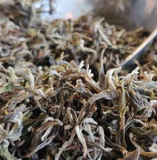 Darjeeling SINGBULLI First Flush 2020