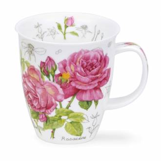 Nevis - Floral Sketch Rose