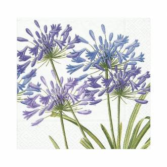 Serviet - Agapanthus