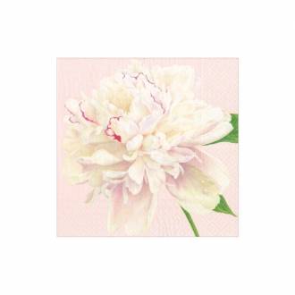 Serviet, lille - Duchess Peonies