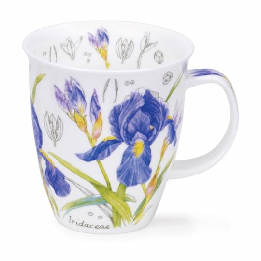 Nevis - Floral Sketch Iris