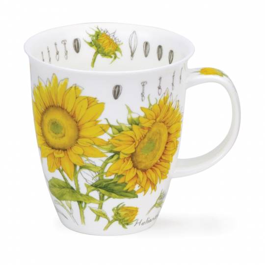 Nevis - Floral Sketch Sunflower