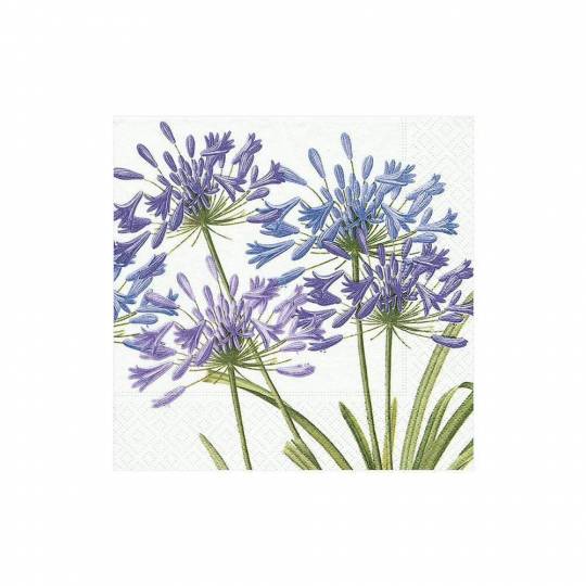 Serviet, lille - Agapanthus