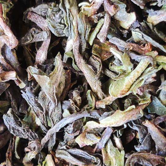 First Flush Darjeeling Avongrove 2021
- FTGFOP1