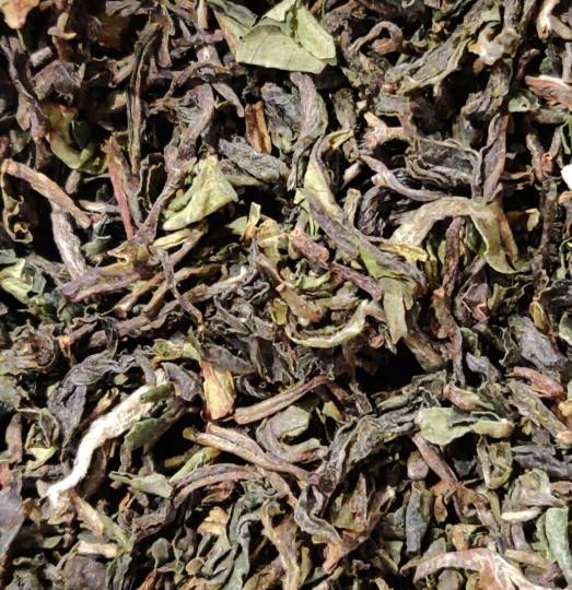 First Flush Darjeeling Avongrove 2022 - FTGFOP1 EX1